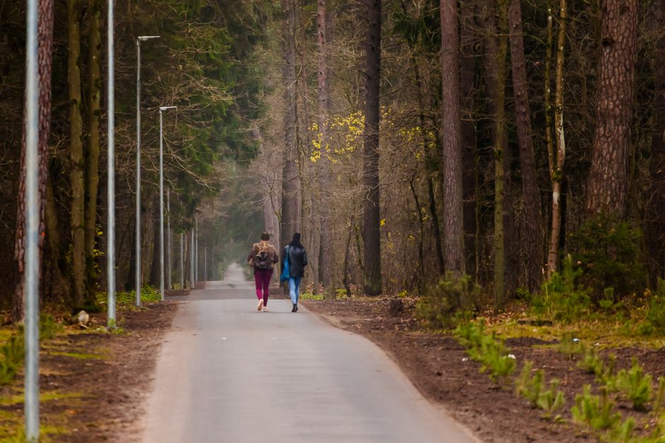 Kas Panemunės šilo laukia 2018-aisiais?