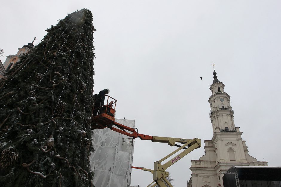 Rotušės aikštė – ant išskirtinių švenčių ir šou slenksčio (programa)