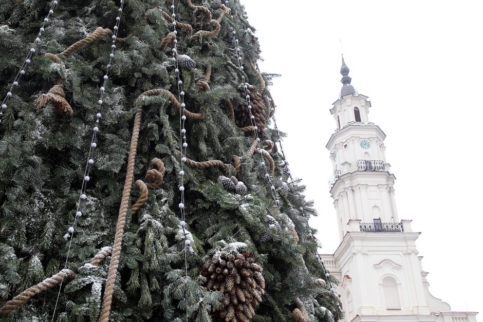 Rotušės aikštė – ant išskirtinių švenčių ir šou slenksčio (programa)