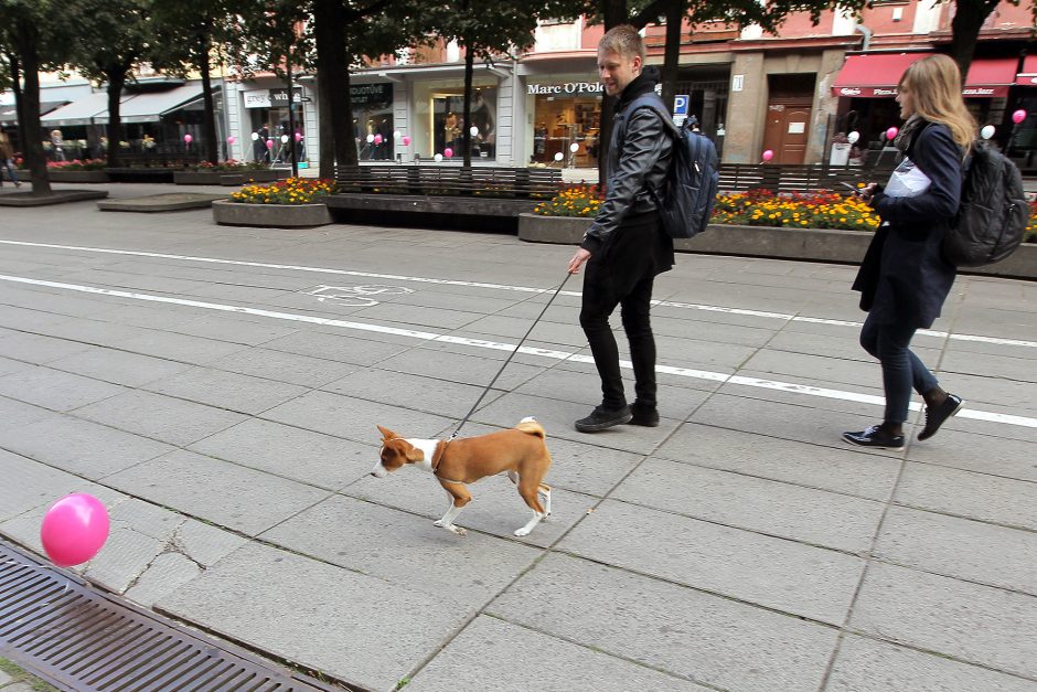 Laisvės alėją nuspalvino balionai