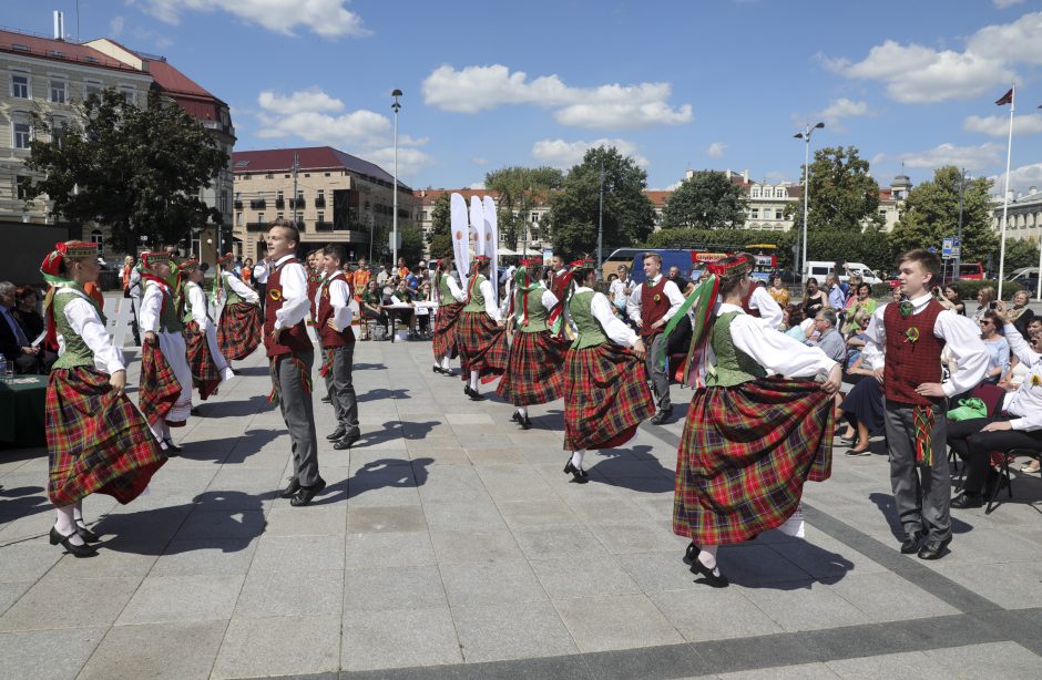 Katedros aikštėje – Dainų šventės naujienos