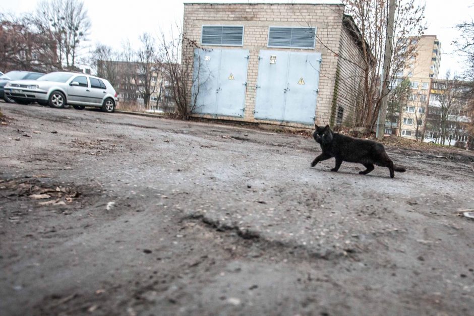 Gatvė, stebinti retėjantį mikrorajoną