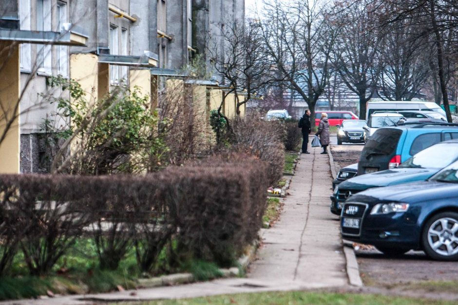 Gatvė, stebinti retėjantį mikrorajoną