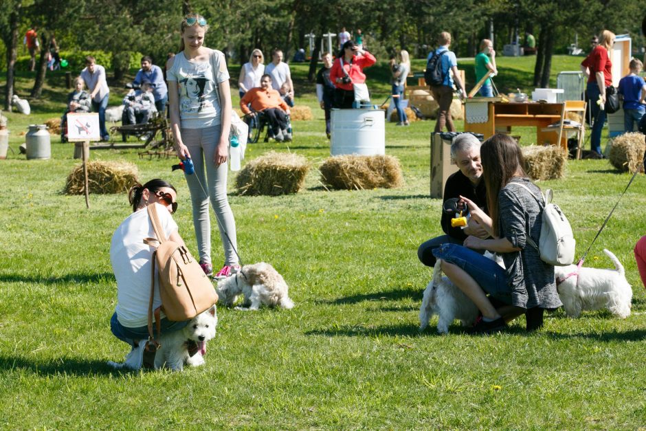 Santakos parke rinkosi šunys, poniai, alpakos