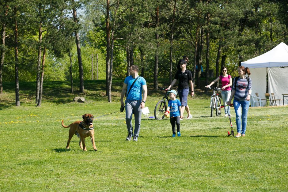 Santakos parke rinkosi šunys, poniai, alpakos