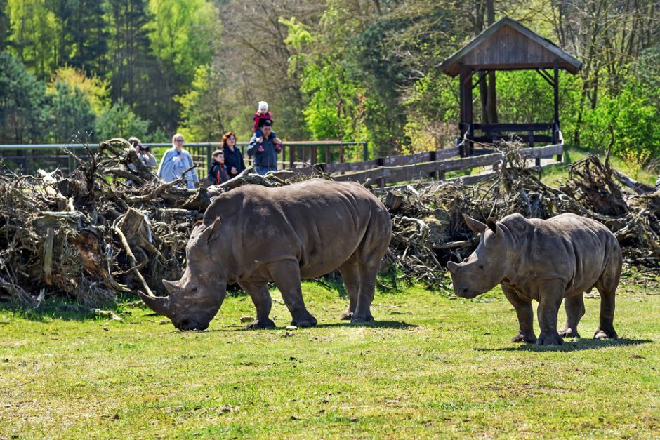 Šeimos kelionė: penkios įspūdingos vietos nuotykių ieškotojams