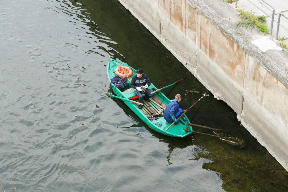 Kauniečiai švarino Nemuno pakrantes