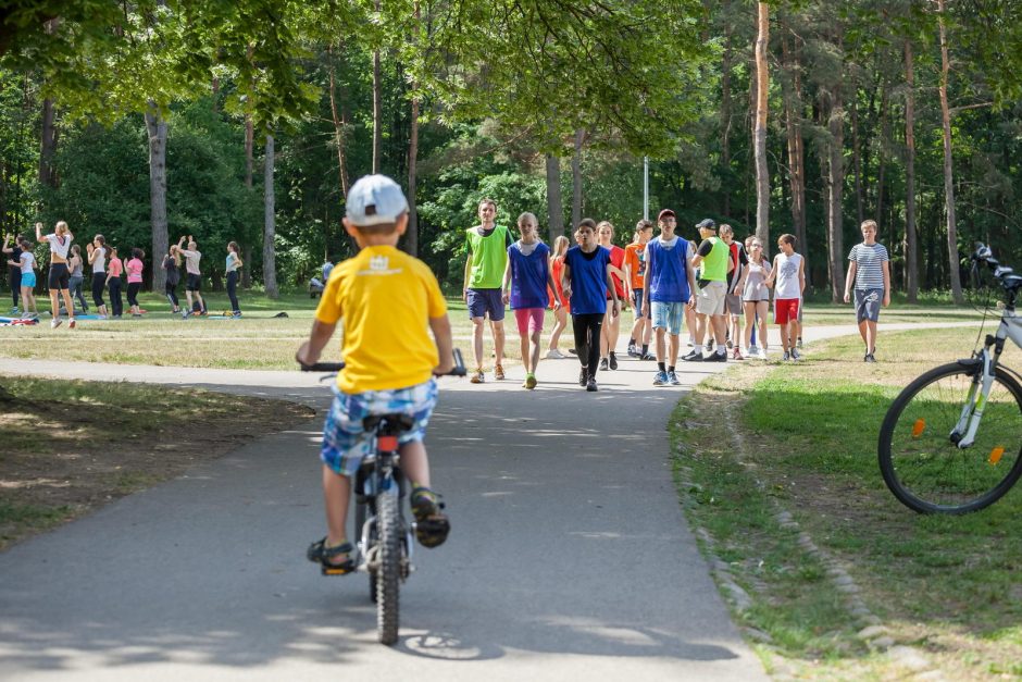 Ketinama atnaujinti Vingio parką – bus ir paplūdimys šunims