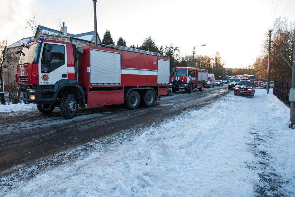 Gesinant namą Palemone prireikė ir policijos pagalbos