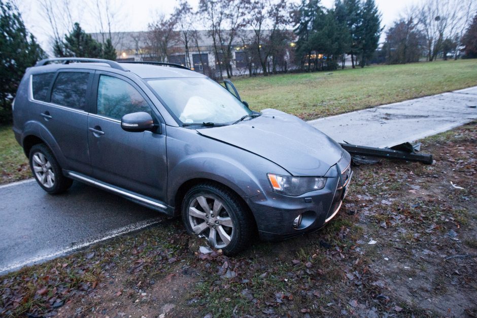 Raudondvario plente „Mitsubishi“ rėžėsi į medį ir stulpą