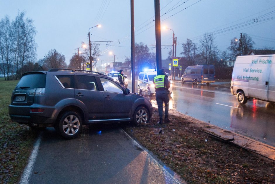 Raudondvario plente „Mitsubishi“ rėžėsi į medį ir stulpą