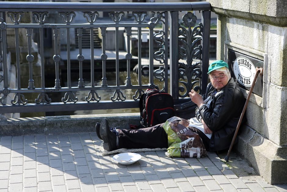 Benamis įsitaisė prie undinės