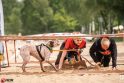 Sudėtinga: tarptautinėse biatlono su šunimis varžybose „Hard Dog Race“ trijulei teko ne tik bėgti, bet ir atlikti aštuoniolika skirtingų užduočių. 