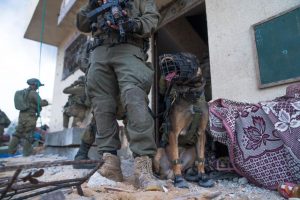 Izraelio kariuomenė: prie šuns kūno pritvirtinta kamera įrašė per klaidą nušautų įkaitų balsus