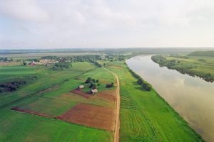 Ministerija: pasėlių deklaravimas prasidės gegužės 2 dieną – dviem savaitėm vėliau