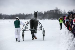 Dėl permainingų orų Sartų žirgų lenktynės šiemet nevyks