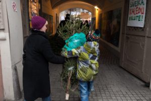 Mokytojų namų kiemelyje – atsisveikinimo su eglutėmis vakaras