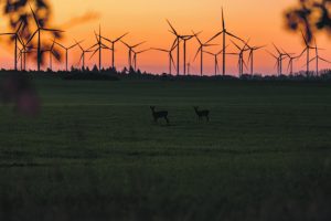 Naujo ciklo pradžia: kur kreipti atsinaujinančiųjų išteklių energetikos trajektoriją?