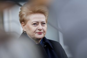 D. Grybauskaitė: melodramos valdžios elite atrodo juokingai ir kenkia reputacijai