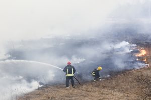 Žolės degintojams gresia baudos, teks atlyginti ir padarytą žalą gamtai