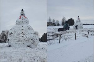 Aikčioja iš nuostabos: įdomu, ar atsiras galinčių nulipdyti didesnį senį besmegenį?