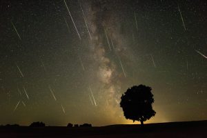 Stebėjo perseidų lietų – sulaukė policijos dėmesio