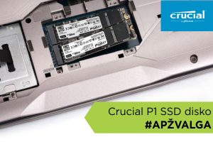 „Crucial P1“ SSD disko apžvalga