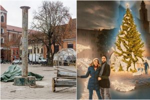 Rotušės aikštėje pradeda kilti Kalėdų eglė