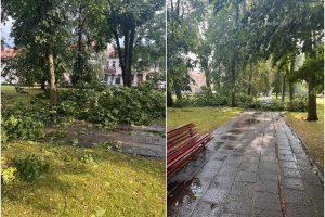Vilniuje – liūtis, lūžo medžių šakos