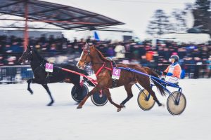 Vienas iš „Sartų“ lenktynių organizatorių: žinočiau nugalėtoją – galėčiau ir nedirbti