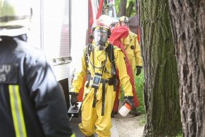 Į Pravieniškių mišką sulėkė tarnybos: sodino medžius – rado gyvsidabrio