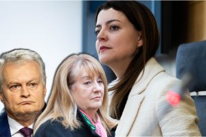 M. Navickienė: didžiausias politinis skandalas – prezidento ir V. Blinkevičiūtės sukurpta pasaka