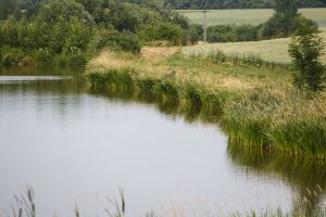 Švenčionių rajone iš tvenkinio ištrauktas skenduolis