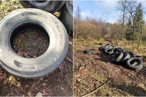 Į Kauno rajono mišką kažkas atvežė didelį kiekį sunkvežimių padangų: bando rasti gamtos teršėjus