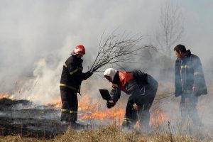 Padegėjų akiratyje – pernykštė žolė