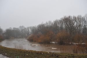 Klaipėdos rajone, Minijos upėje, išgelbėtas vyras ir jo šuo