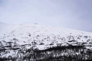 Norvegijoje sniego griūtis pareikalavo trijų slidininkų gyvybių