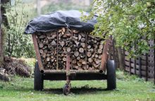 Molėtų rajone pavogta priekaba su malkomis