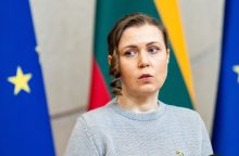 Seimo etikos sargai: D. Šakalienė, tirdama VSD pranešėjo komisiją, interesų konflikto nepažeidė