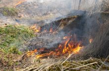 Skirtinguose šalies rajonuose ugniagesiai kovojo su liepsnomis: degė ražienos ir žolė