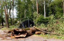 Prezidento patarėjas: institucijoms būtina pasiruošti, kad audra nebeužkluptų netikėtai