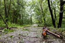 Šiaulių ir Šakių rajonuose dėl audros padarinių paskelbta ekstremali situacija