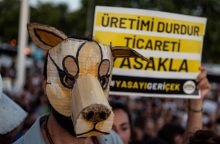 Turkija patvirtino prieštaringai vertinamą beglobių gyvūnų kontrolės įstatymą
