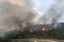 Šiaurės Makedonija per karščius ir pučiant stipriems vėjams kovoja su miškų gaisrais